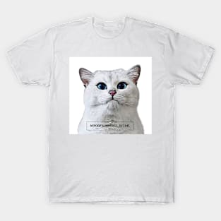 FUNNY CATS T-Shirt